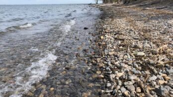 Une mesure pour rehausser le niveau d’eau du lac Saint-Louis